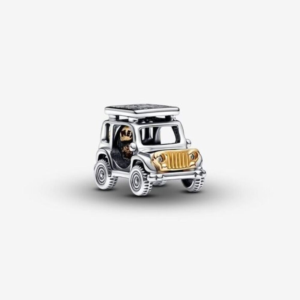 Pandora Two-tone Adventure竅櫃ar Charm